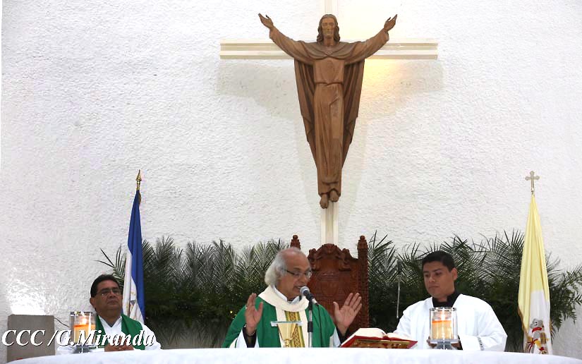 cardenal