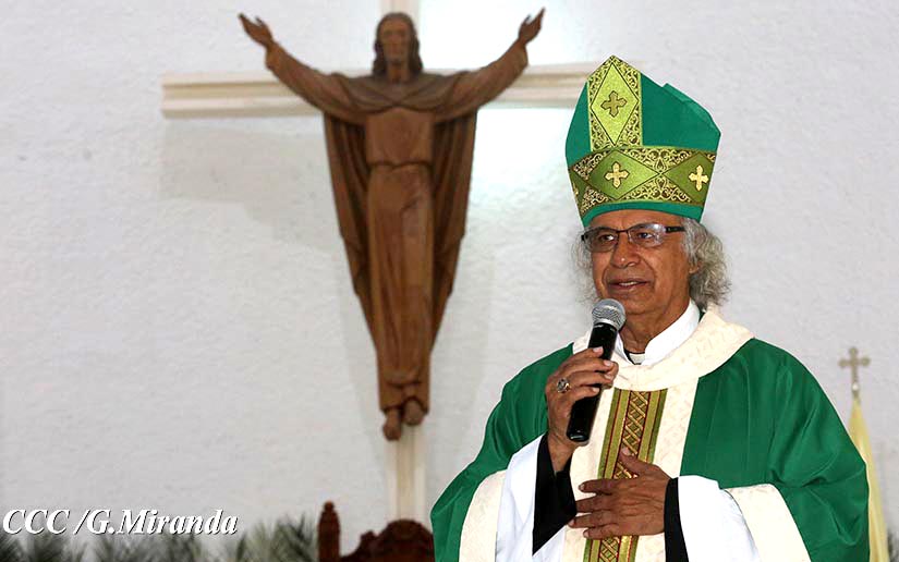cardenal