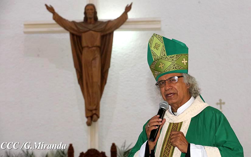 cardenal