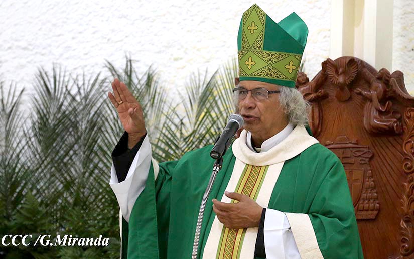 cardenal