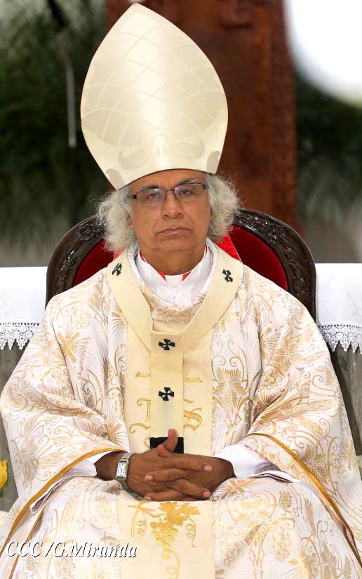 cardenal