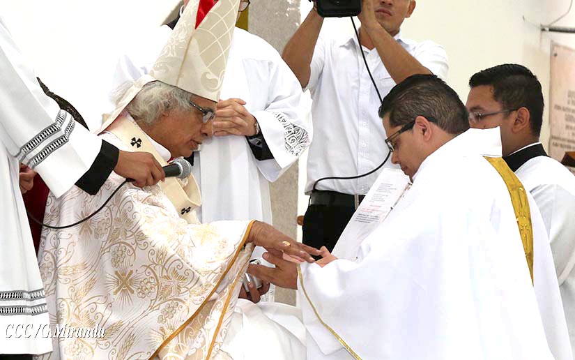 cardenal