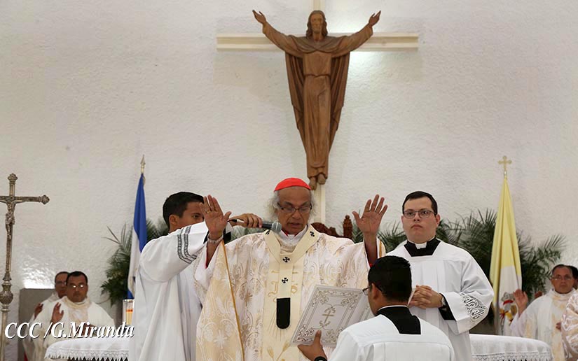 cardenal