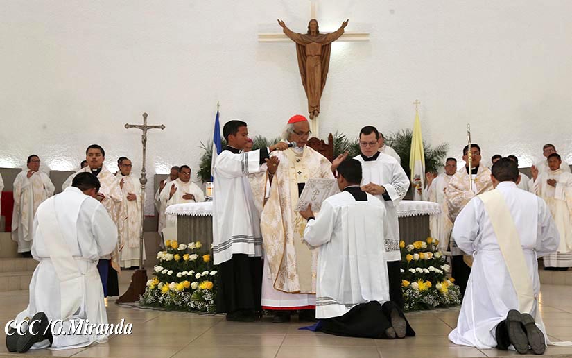 cardenal