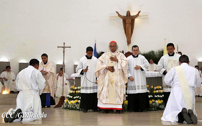 cardenal