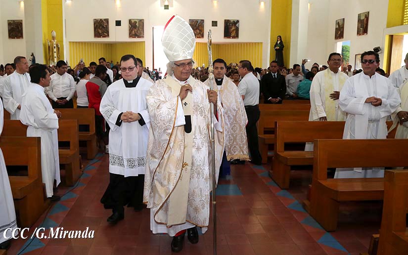 cardenal