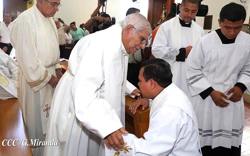 cardenal