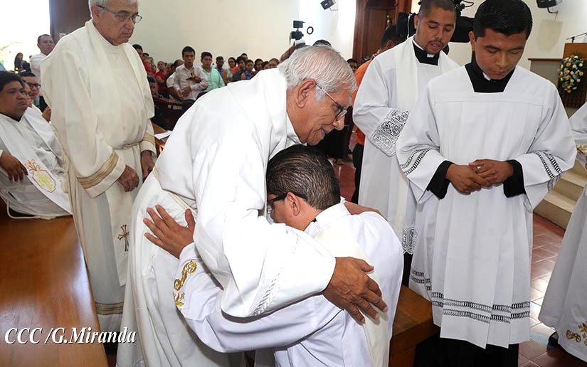 cardenal