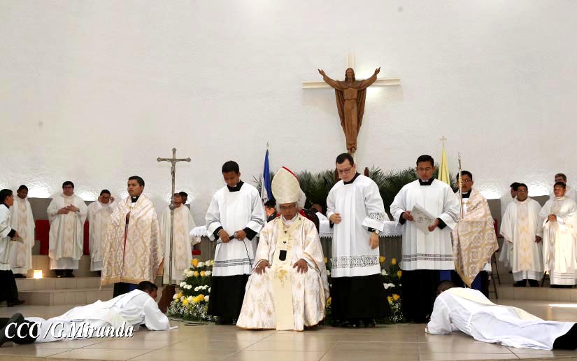 cardenal