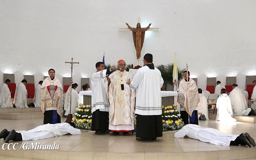 cardenal