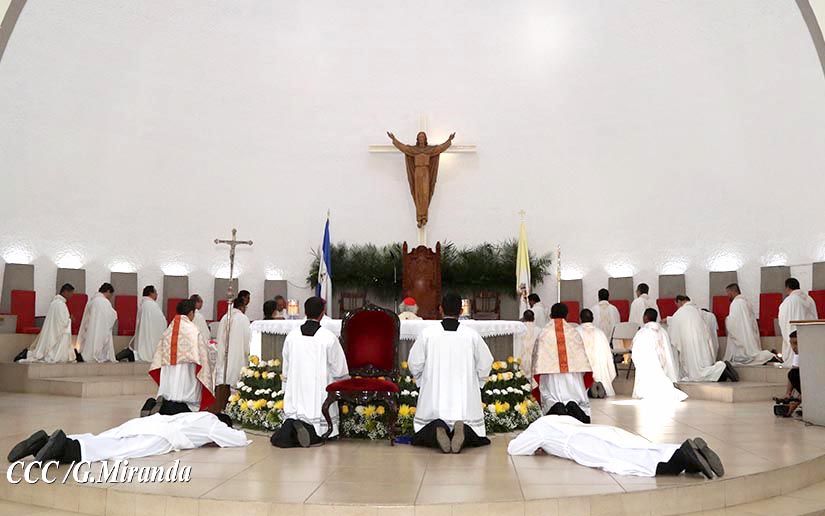 cardenal