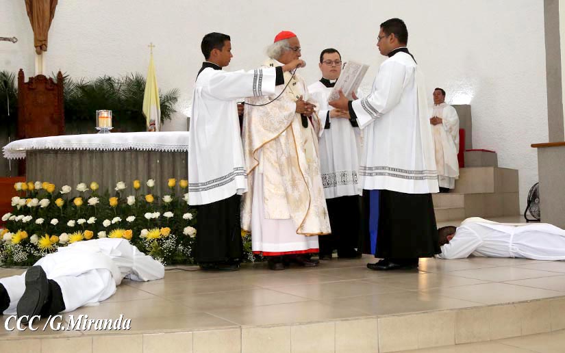 cardenal