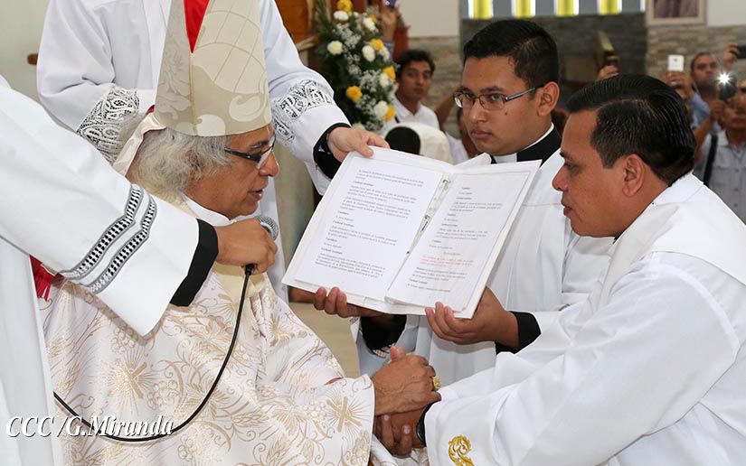 cardenal