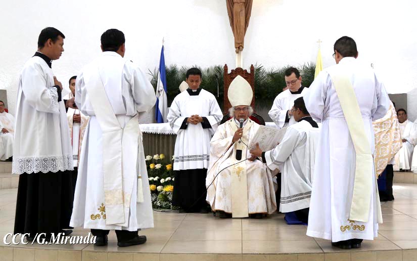 cardenal