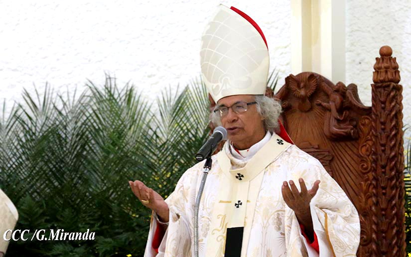 cardenal