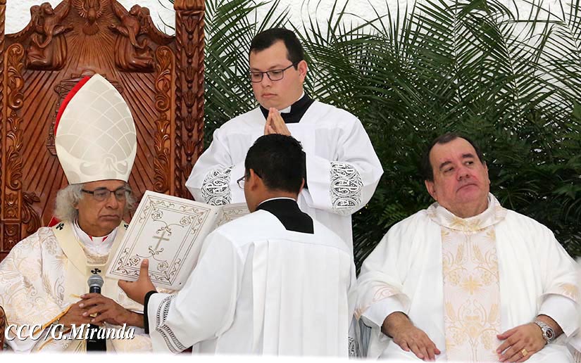 cardenal