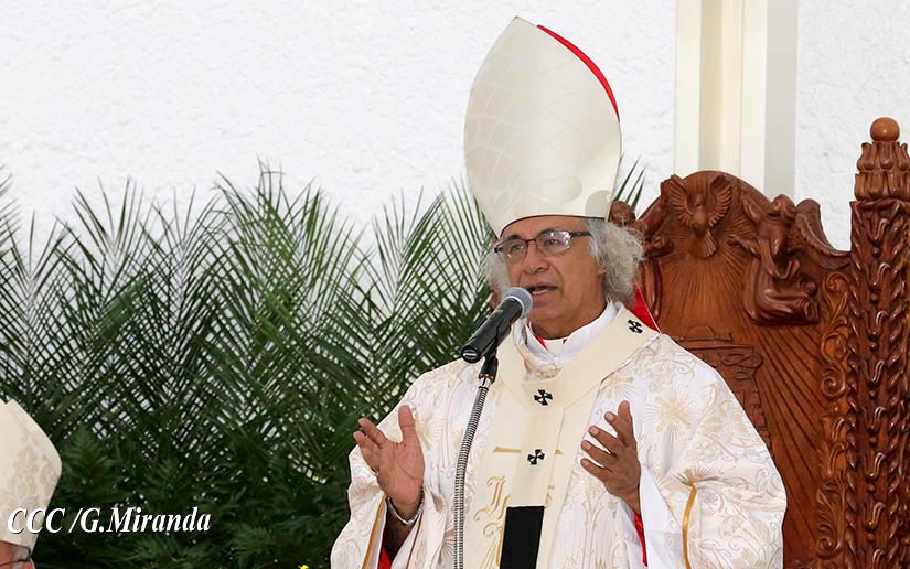 cardenal
