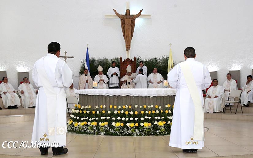 cardenal