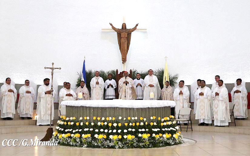 cardenal