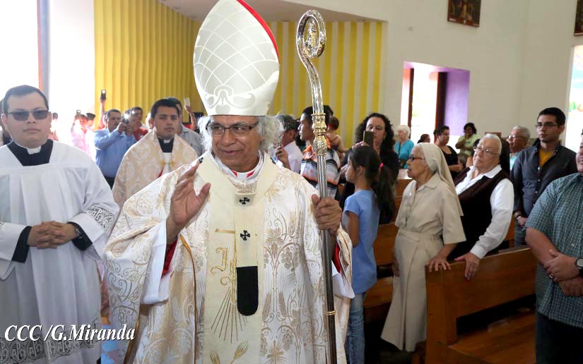 cardenal