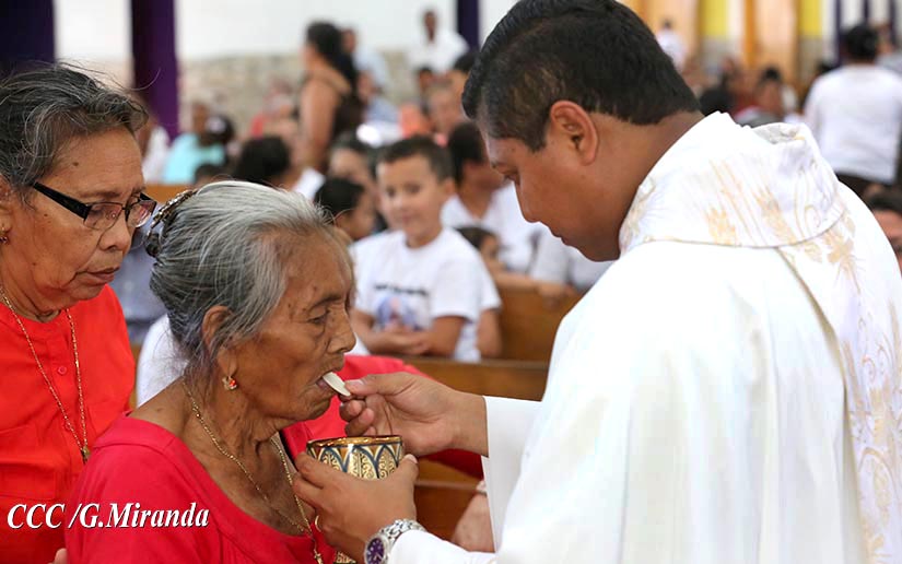 cardenal
