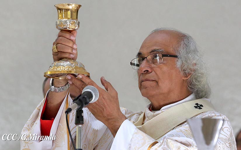 cardenal