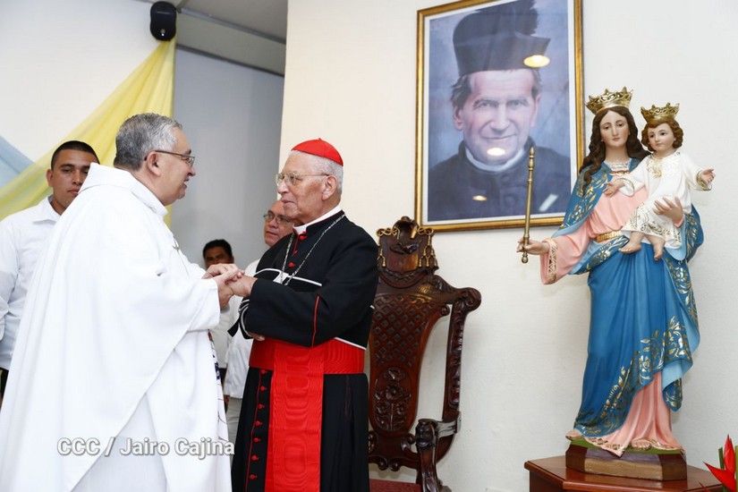 cardenal
