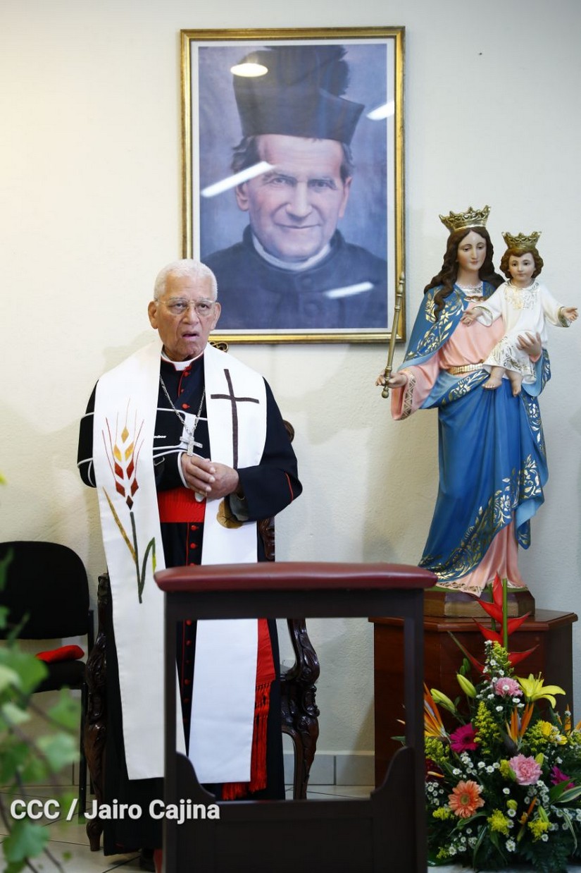 cardenal