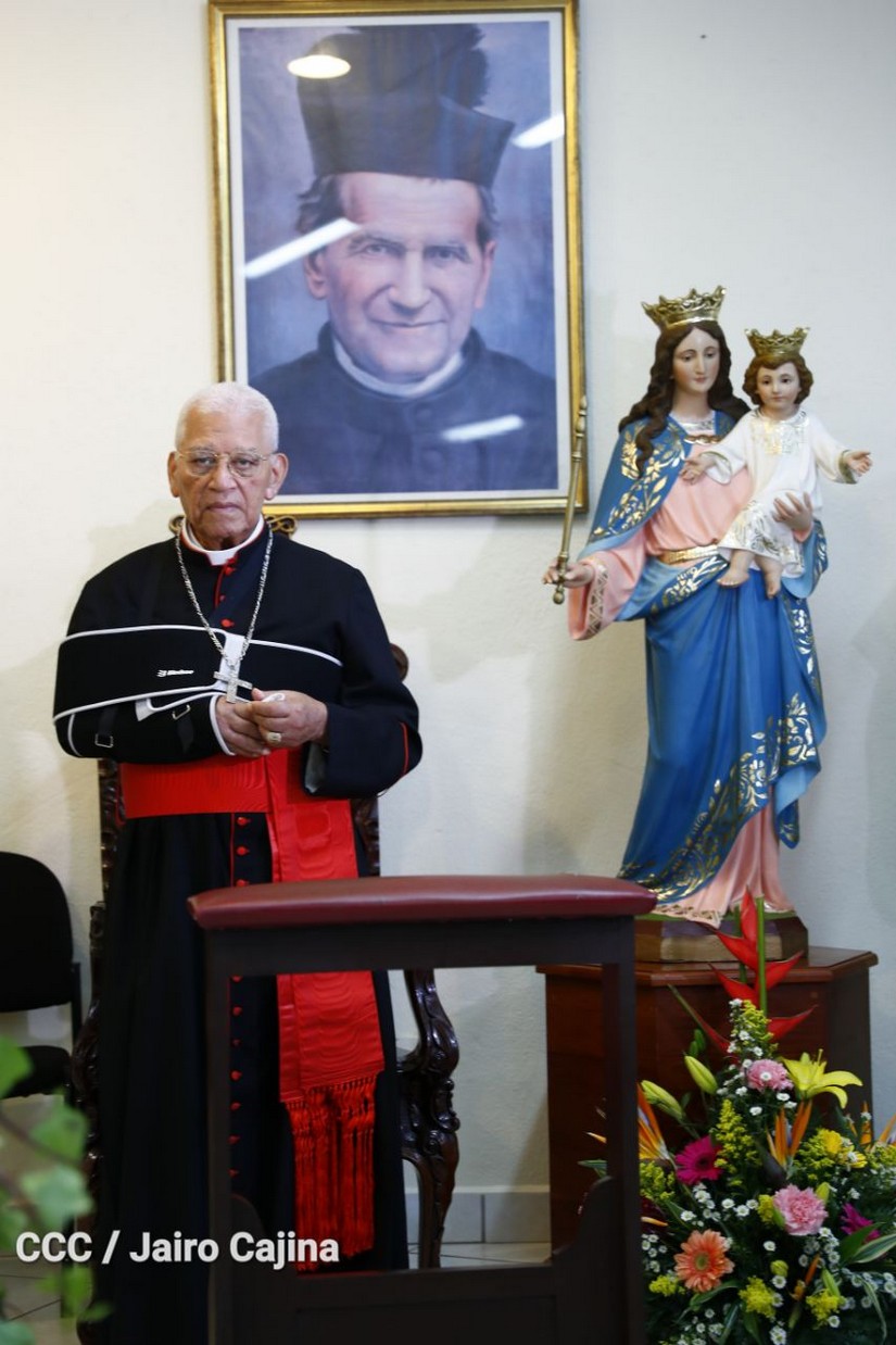cardenal