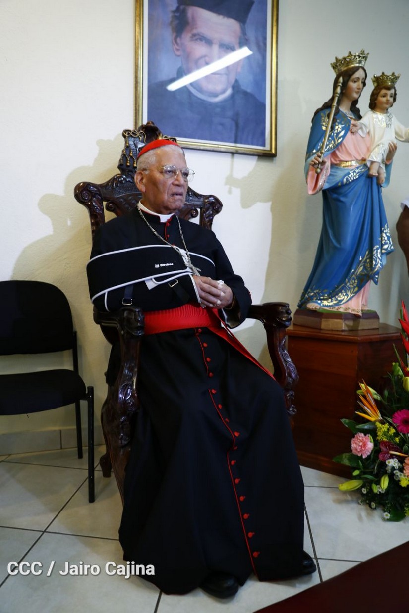 cardenal
