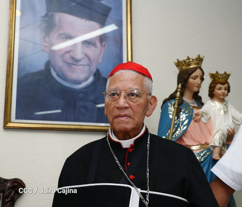 cardenal