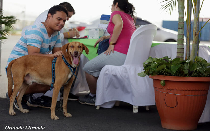 pERROS1