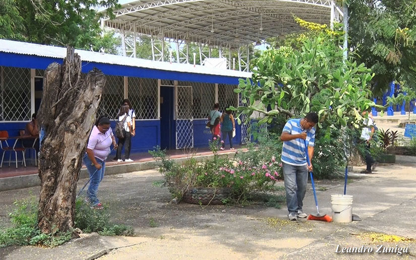 Reforesta2