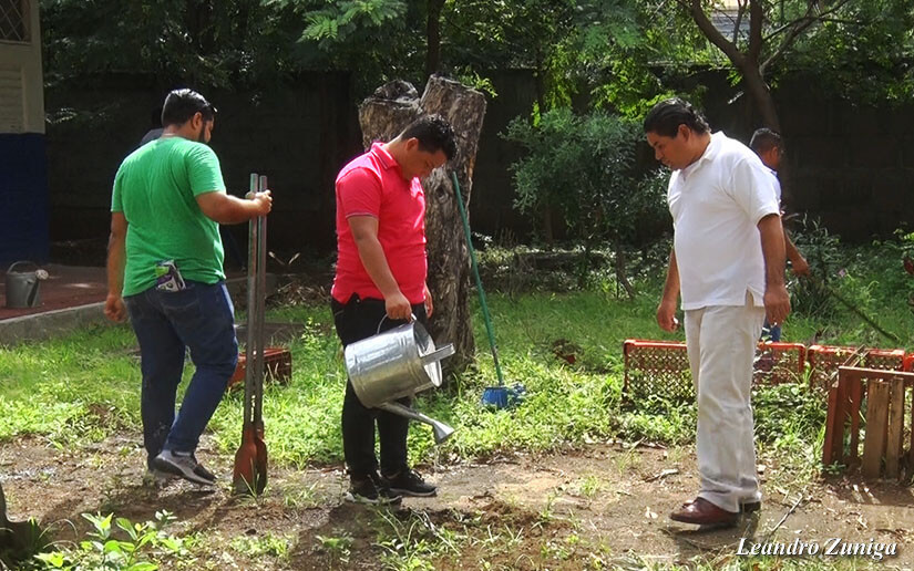 Reforesta2