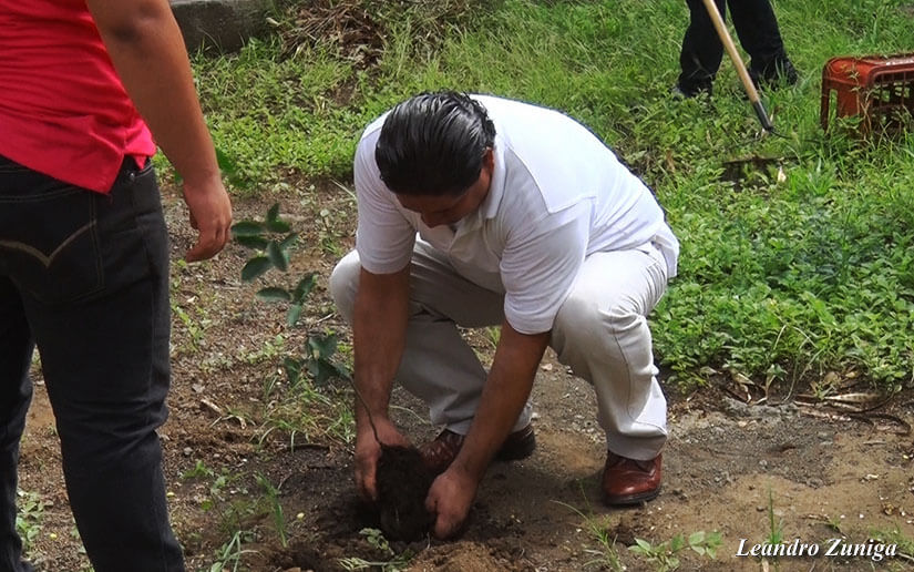 Reforesta2