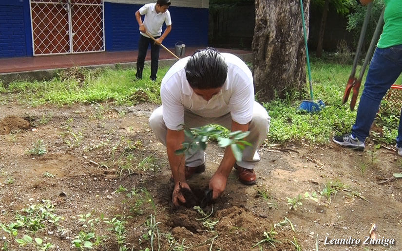 Reforesta2