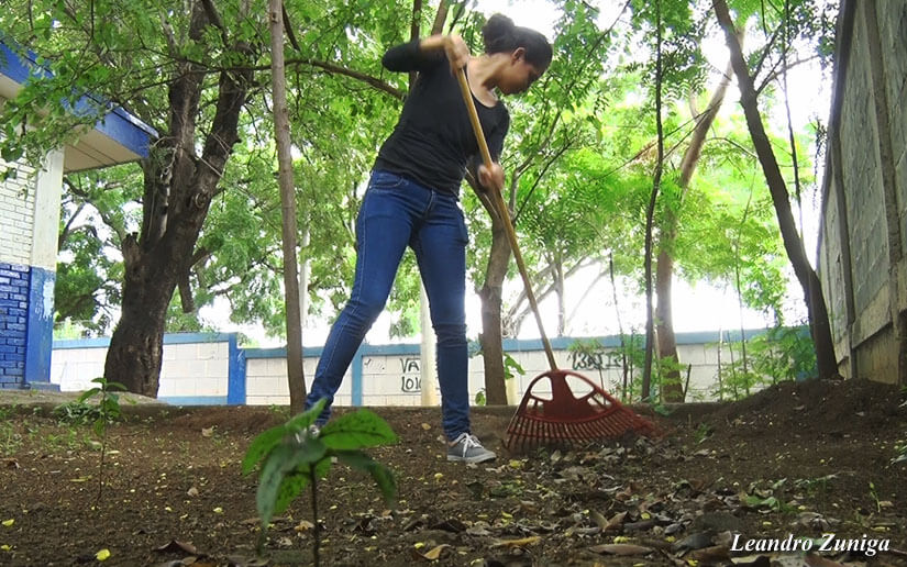 Reforesta2
