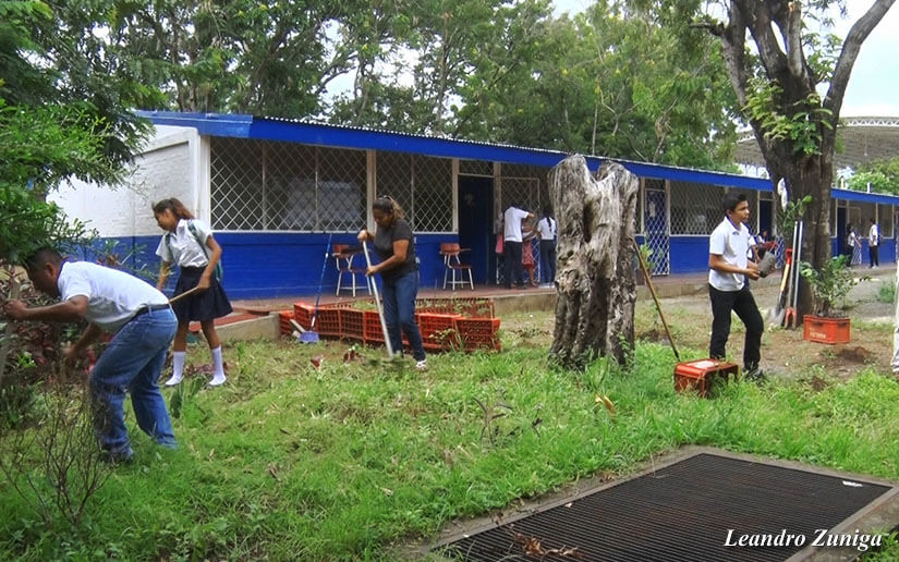 Reforesta2