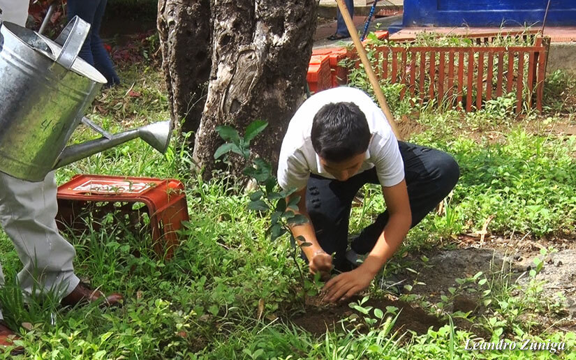Reforesta2