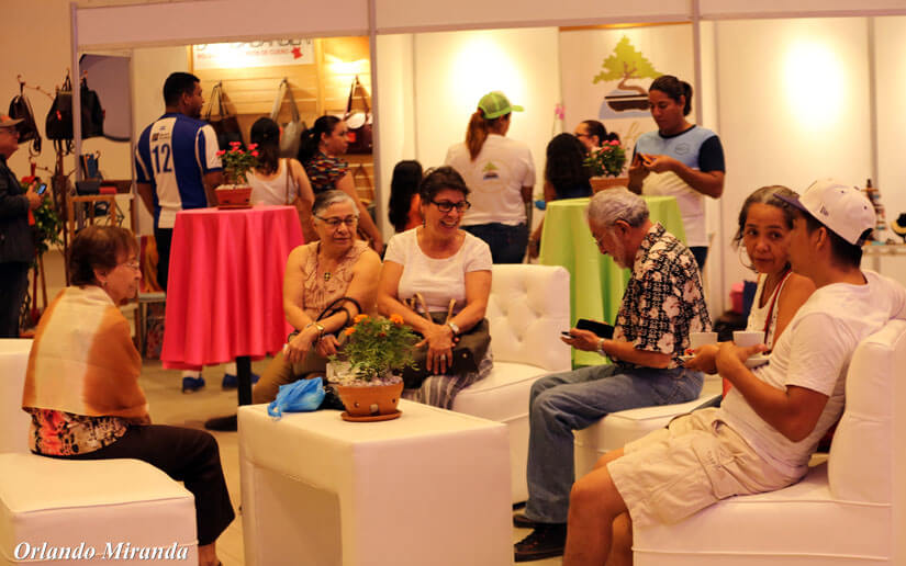 expo