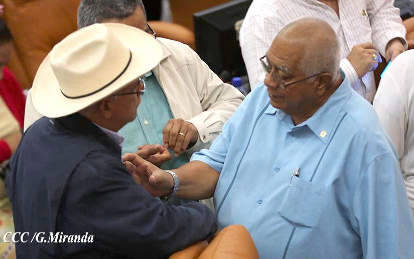 asamblea