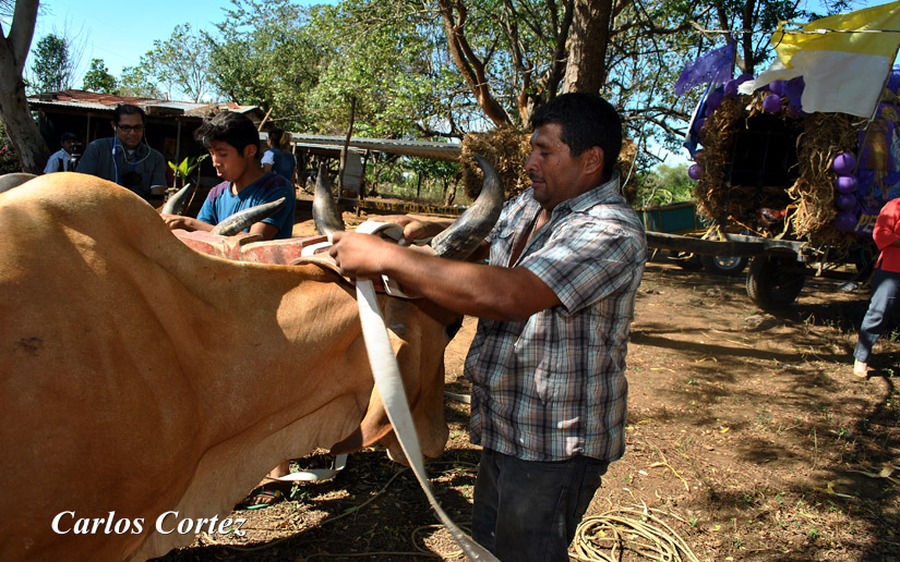 carretas