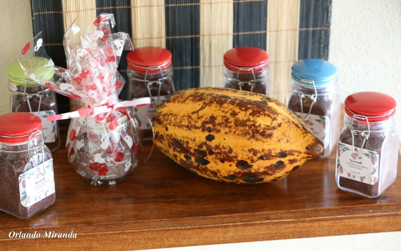 cacao