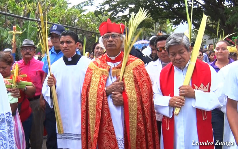 cardenal