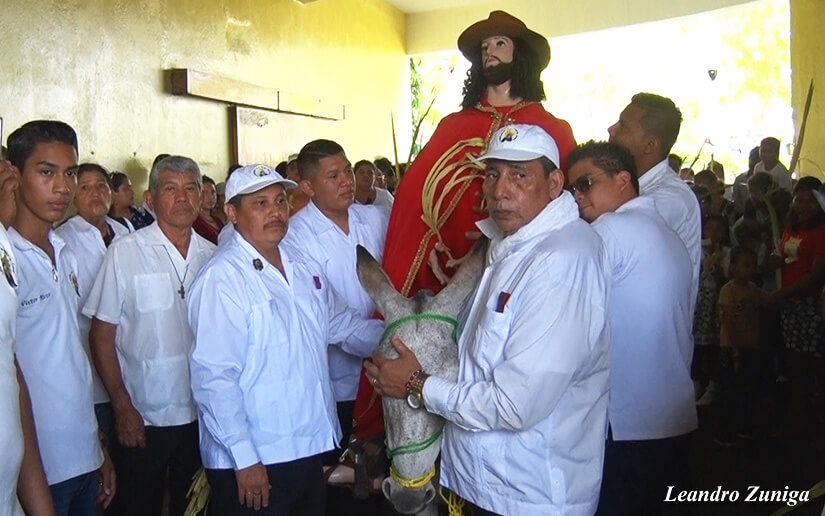 cardenal