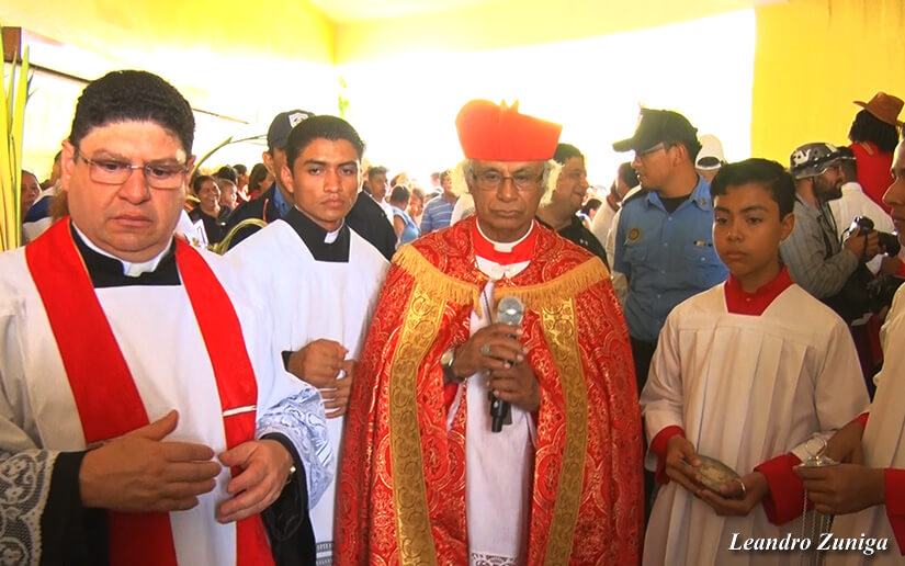 cardenal