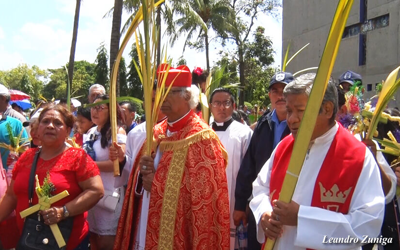 cardenal