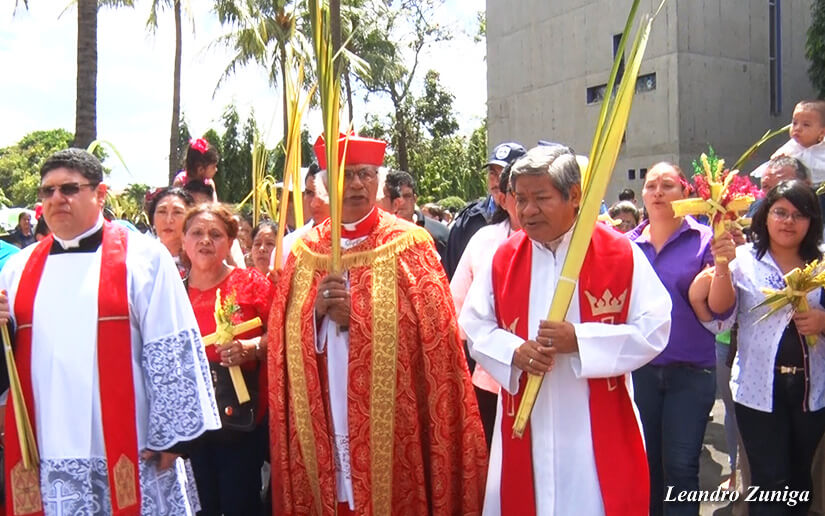 cardenal