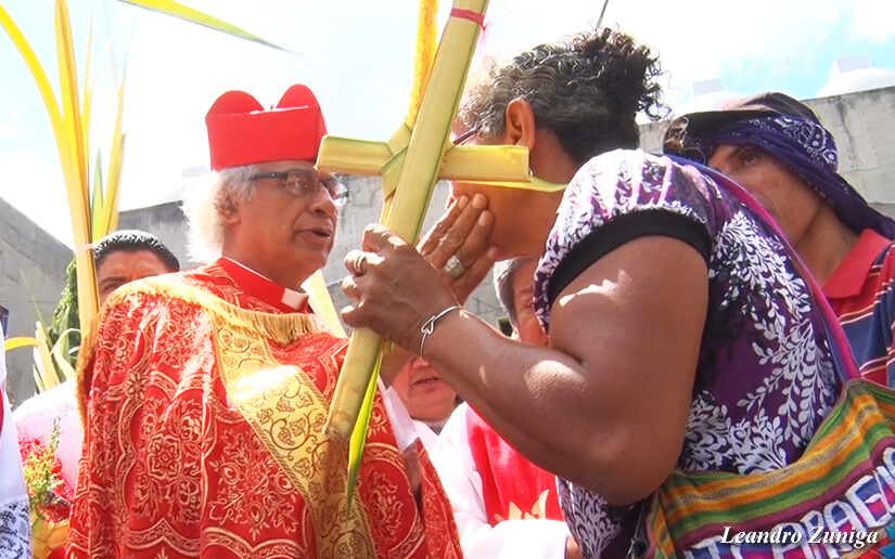 cardenal