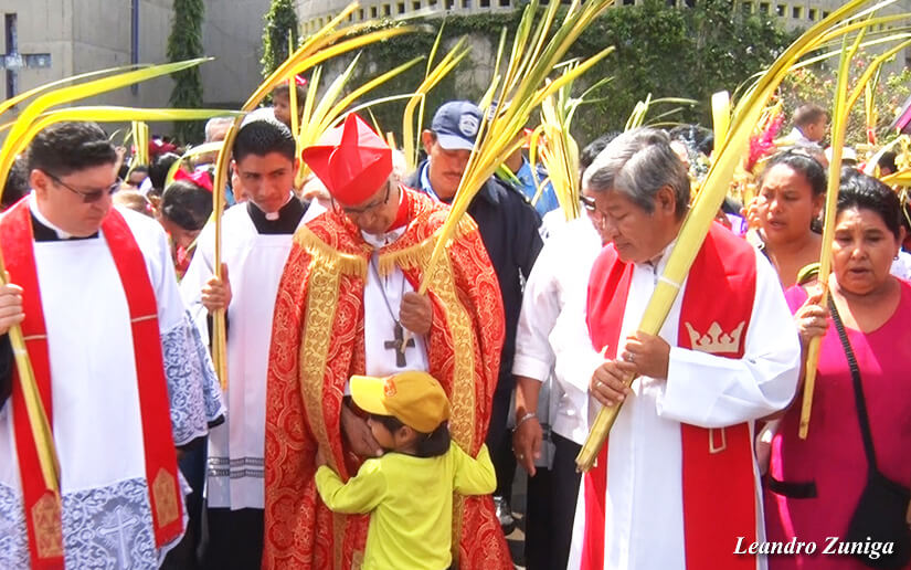 cardenal